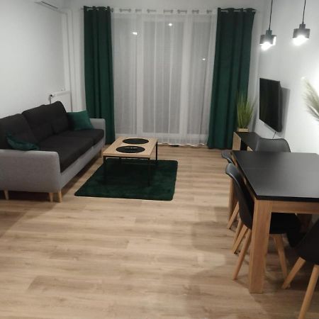 Apartament Berylowa 1 コニン エクステリア 写真